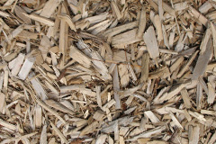 biomass boilers Gelli