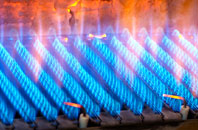 Gelli gas fired boilers